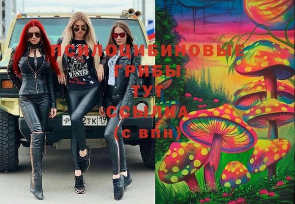 шишки Зеленодольск