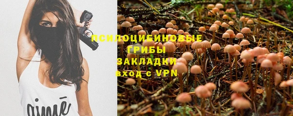 шишки Зеленодольск