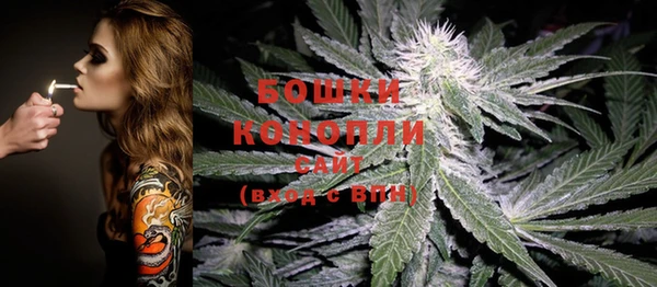 спиды Зеленокумск